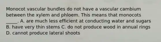 Monocot vascular bundles do not have a vascular cambium between the xylem and phloem. This means that monocots _____. A. are much less efficient at conducting water and sugars B. have very thin stems C. do not produce wood in annual rings D. cannot produce lateral shoots