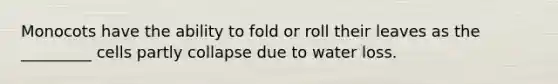 Monocots have the ability to fold or roll their leaves as the _________ cells partly collapse due to water loss.