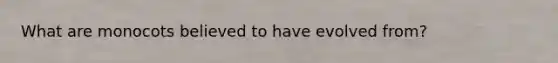 What are monocots believed to have evolved from?