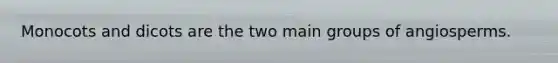 Monocots and dicots are the two main groups of angiosperms.