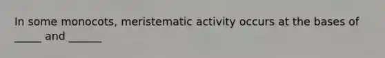 In some monocots, meristematic activity occurs at the bases of _____ and ______