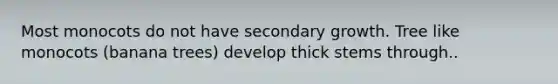 Most monocots do not have secondary growth. Tree like monocots (banana trees) develop thick stems through..