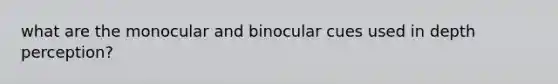 what are the monocular and binocular cues used in depth perception?