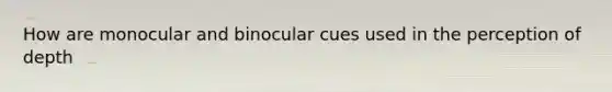 How are monocular and binocular cues used in the perception of depth