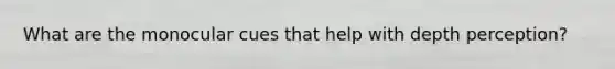 What are the monocular cues that help with depth perception?