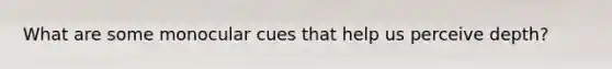 What are some monocular cues that help us perceive depth?
