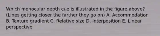 Which monocular depth cue is illustrated in the figure above? (Lines getting closer the farther they go on) A. Accommodation B. Texture gradient C. Relative size D. Interposition E. Linear perspective