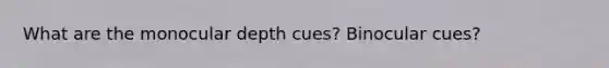 What are the monocular depth cues? Binocular cues?