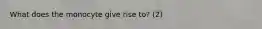 What does the monocyte give rise to? (2)