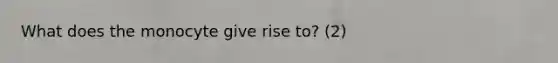 What does the monocyte give rise to? (2)