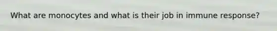 What are monocytes and what is their job in immune response?
