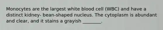 Monocytes are the largest white blood cell (WBC) and have a distinct kidney- bean-shaped nucleus. The cytoplasm is abundant and clear, and it stains a grayish ________.