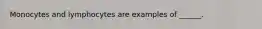 Monocytes and lymphocytes are examples of ______.