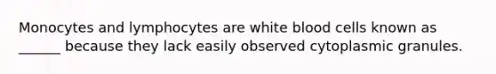 Monocytes and lymphocytes are white blood cells known as ______ because they lack easily observed cytoplasmic granules.