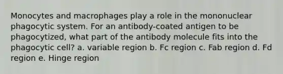 Monocytes and macrophages play a role in the mononuclear phagocytic system. For an antibody-coated antigen to be phagocytized, what part of the antibody molecule fits into the phagocytic cell? a. variable region b. Fc region c. Fab region d. Fd region e. Hinge region