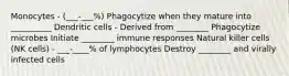 Monocytes - (___-___%) Phagocytize when they mature into __________ Dendritic cells - Derived from ________ Phagocytize microbes Initiate ________ immune responses Natural killer cells (NK cells) - ___-____% of lymphocytes Destroy ________ and virally infected cells