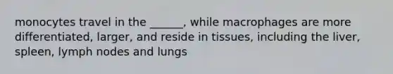 monocytes travel in the ______, while macrophages are more differentiated, larger, and reside in tissues, including the liver, spleen, lymph nodes and lungs