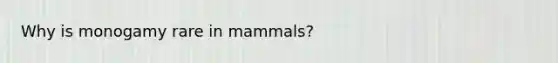 Why is monogamy rare in mammals?