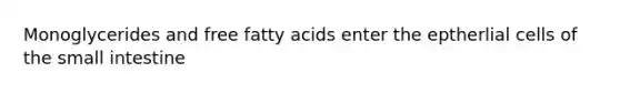 Monoglycerides and free fatty acids enter the eptherlial cells of the small intestine