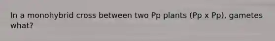 In a monohybrid cross between two Pp plants (Pp x Pp), gametes what?