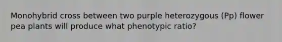 Monohybrid cross between two purple heterozygous (Pp) flower pea plants will produce what phenotypic ratio?