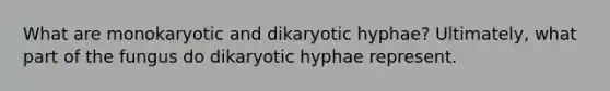 What are monokaryotic and dikaryotic hyphae? Ultimately, what part of the fungus do dikaryotic hyphae represent.