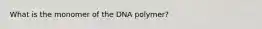 What is the monomer of the DNA polymer?