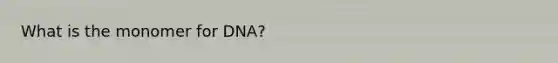 What is the monomer for DNA?