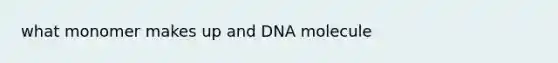 what monomer makes up and DNA molecule