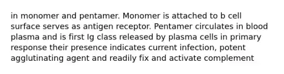 in monomer and pentamer. Monomer is attached to b cell surface serves as antigen receptor. Pentamer circulates in blood plasma and is first Ig class released by plasma cells in primary response their presence indicates current infection, potent agglutinating agent and readily fix and activate complement