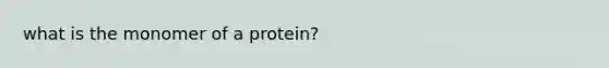 what is the monomer of a protein?