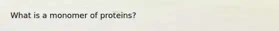 What is a monomer of proteins?