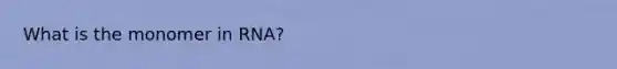 What is the monomer in RNA?