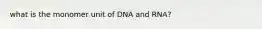 what is the monomer unit of DNA and RNA?