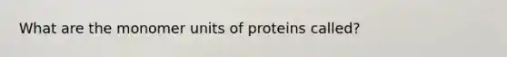 What are the monomer units of proteins called?