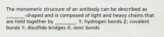 The monomeric structure of an antibody can be described as ________-shaped and is composed of light and heavy chains that are held together by _________. Y; hydrogen bonds Z; covalent bonds Y; disulfide bridges X; ionic bonds