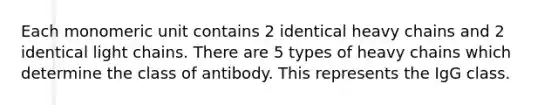 Each monomeric unit contains 2 identical heavy chains and 2 identical light chains. There are 5 types of heavy chains which determine the class of antibody. This represents the IgG class.