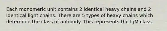 Each monomeric unit contains 2 identical heavy chains and 2 identical light chains. There are 5 types of heavy chains which determine the class of antibody. This represents the IgM class.