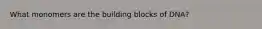 What monomers are the building blocks of DNA?