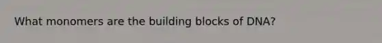 What monomers are the building blocks of DNA?