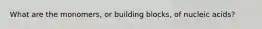 What are the monomers, or building blocks, of nucleic acids?