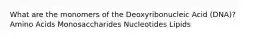 What are the monomers of the Deoxyribonucleic Acid (DNA)? Amino Acids Monosaccharides Nucleotides Lipids