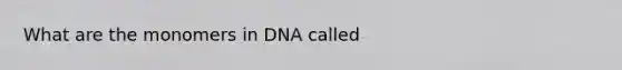 What are the monomers in DNA called