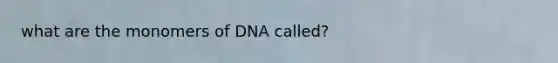 what are the monomers of DNA called?