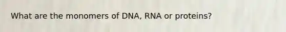 What are the monomers of DNA, RNA or proteins?