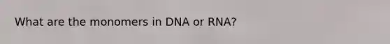 What are the monomers in DNA or RNA?