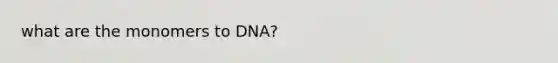 what are the monomers to DNA?