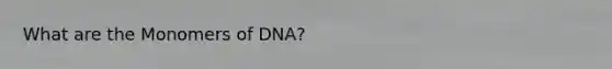 What are the Monomers of DNA?