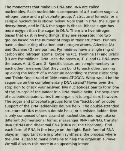 The monomers that make up DNA and RNA are called nucleotides. Each nucleotide is composed of a 5-carbon sugar, a nitrogen base and a phosphate group. A structural formula for a sample nucleotide is shown below. Note that in DNA, the sugar is deoxyribose, and in RNA the sugar is ribose. Ribose sugar has more oxygen than the sugar in DNA. There are five nitrogen bases that exist in living things; they are separated into two groups based on the number of rings in their structure. Purines have a double ring of carbon and nitrogen atoms. Adenine (A) and Guanine (G) are purines. Pyrimidines have a single ring of carbon and nitrogen atoms. Cytosine (C), Thymine (T) and Uracil (U) are Pyrimidines. DNA uses the bases A, T, C and G. RNA uses the bases A, U, C and G. Specific bases are complementary to each other, meaning that they can bond to each other, pairing up along the length of a molecule according to these rules: Stop and Think: One strand of DNA reads ATGGCA. What would be the sequence on the complementary DNA strand? Hover over the stop sign to check your answer. Two nucleotides pair to form one of the "rungs" of the ladder in a DNA double helix. The sequence of nucleotides pairs varies from organism to organism, however. The sugar and phosphate groups form the "backbone" or outer support of the DNA ladder-like double helix. The double-stranded structure of DNA makes a double helix, or a twisted ladder. RNA is only composed of one strand of nucleotides and may take on different 3-dimensional forms: messenger RNA (mRNA), transfer RNA (tRNA) and ribosomal RNA (rRNA or, the ribosome). Find each form of RNA in the image on the right. Each form of RNA plays an important role in protein synthesis, the process where the DNA is used to make proteins to help the organism survive. We will discuss this more in an upcoming lesson.