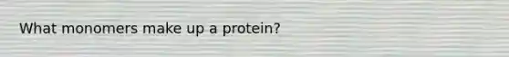 What monomers make up a protein?